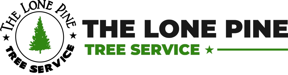 Lone Pine Tree Service Offers Licensed and Insured Tree Services to Keep Property Safe Lone Pine Tree Service Offers Licensed and Insured Tree Services to Keep Property Safe