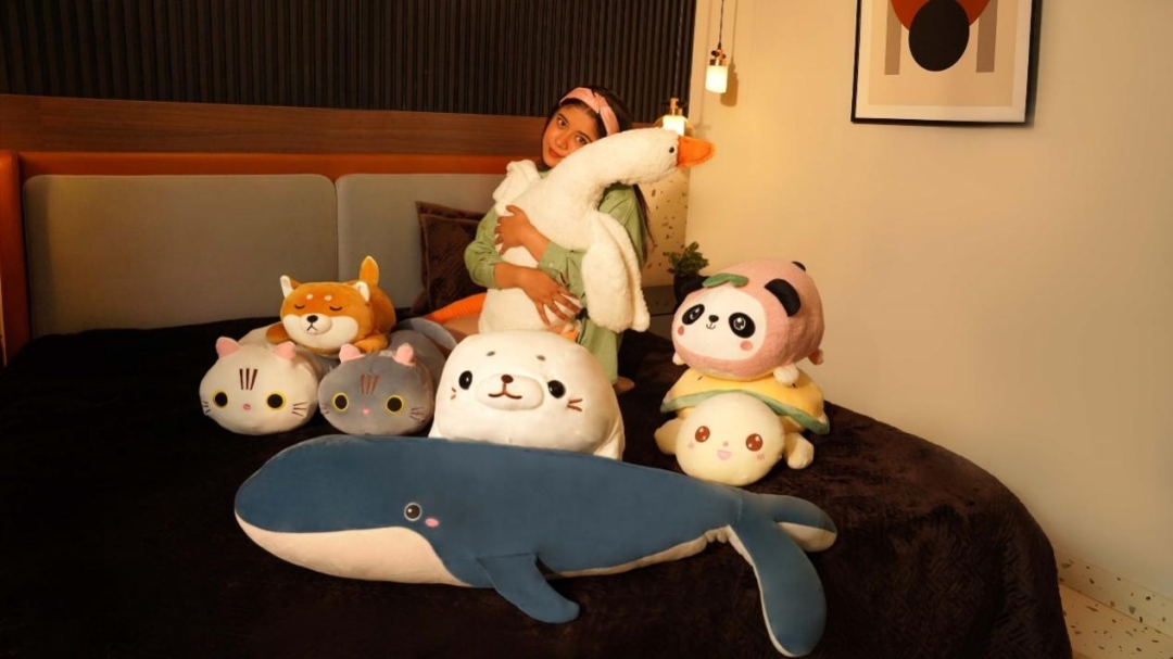Eroloc: Providing Quality Sofa Cushions and Plush Pillows Eroloc: Providing Quality Sofa Cushions and Plush Pillows