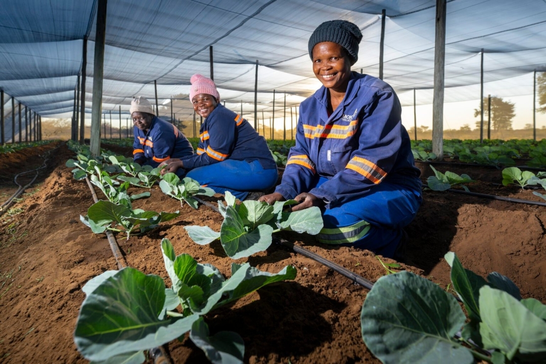 Lucara Diamond features in UNESCO World Engineering Day 2025 campaign Lucara Diamond features in UNESCO World Engineering Day 2025 campaign