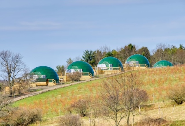 Glamping domes at North Star Farm