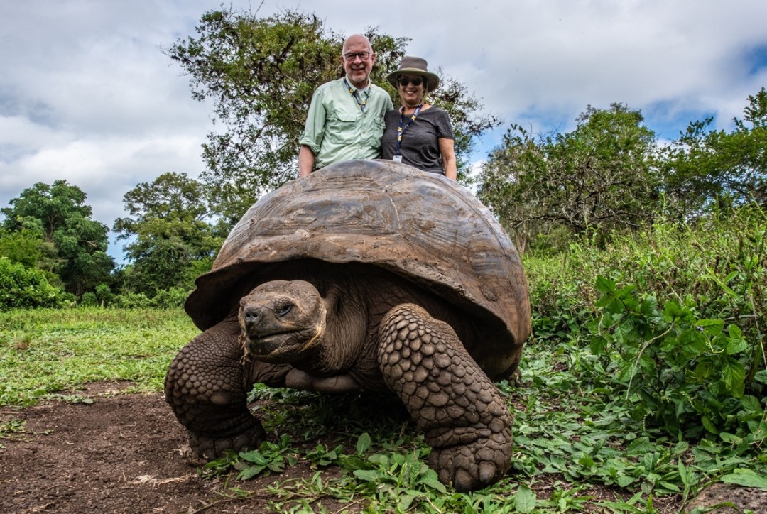 Up-close encounter with the iconic Giant Tortoises of the Galapagos Islands