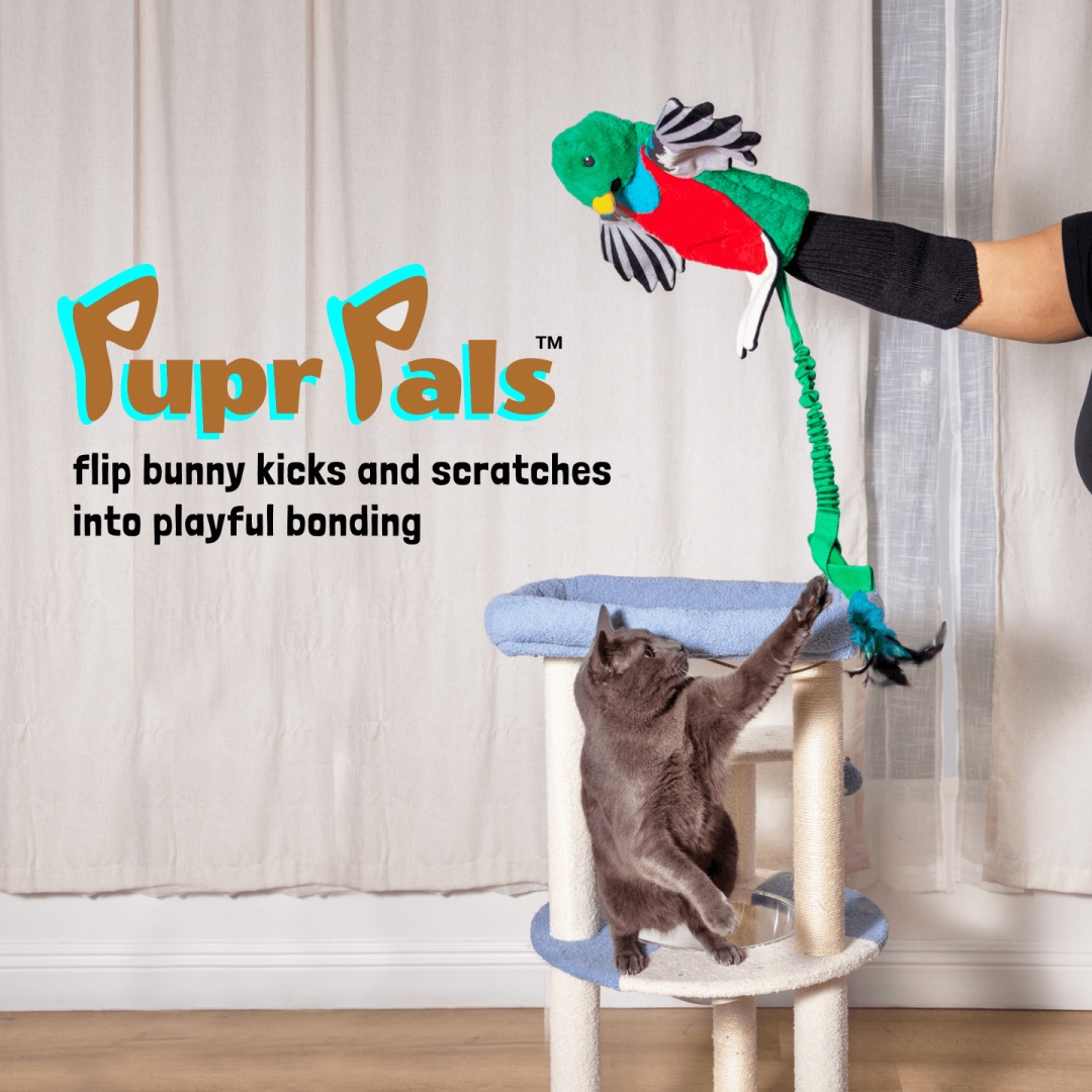 Pupr Pals™ Quetzal