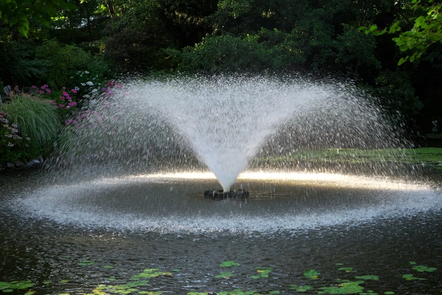 When a Pond Starts Dying: The Hidden Crisis Most Fountain Tech Company Owners Never See Coming When a Pond Starts Dying: The Hidden Crisis Most Fountain Tech Company Owners Never See Coming