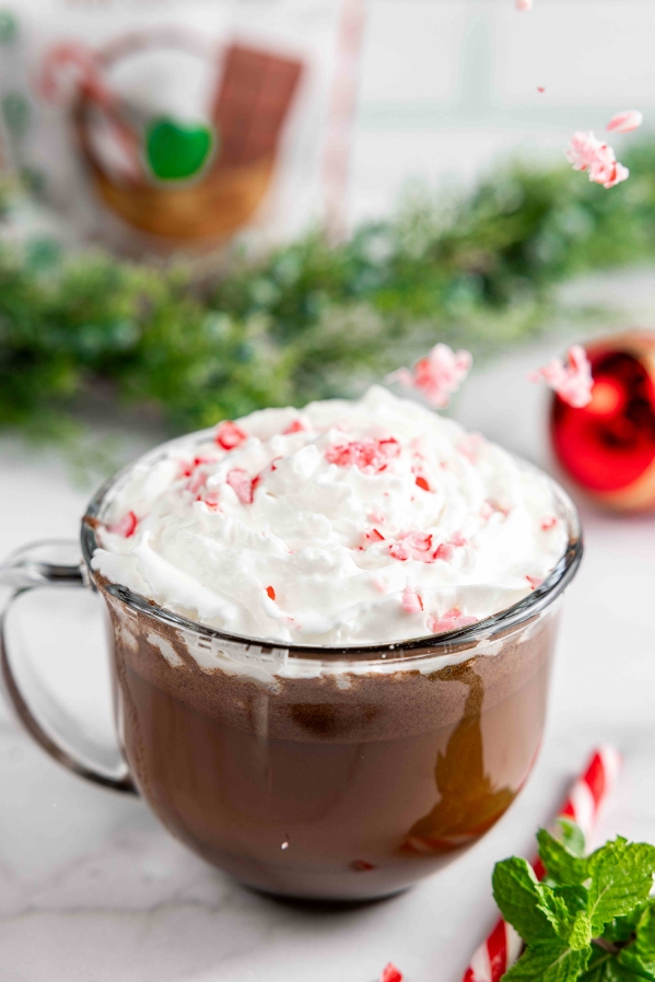 Dairy Free Peppermint Hot Cocoa Mix Dairy Free Peppermint Hot Cocoa Mix