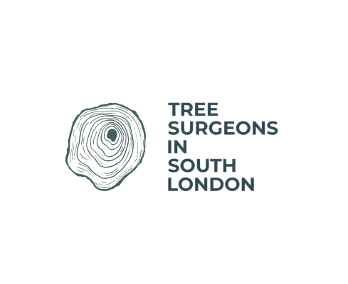 Tree Surgeon London: Specialist Firm Expands Focus on Safety, Surveys and Skilled Arboriculture Across the Capital Tree Surgeon London: Specialist Firm Expands Focus on Safety, Surveys and Skilled Arboriculture Across the Capital