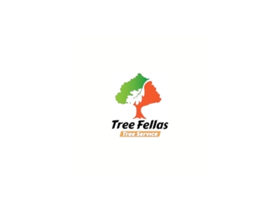 Tree Fellas Reaches 100 Google Reviews Serving Central New Hampshire Tree Fellas Reaches 100 Google Reviews Serving Central New Hampshire