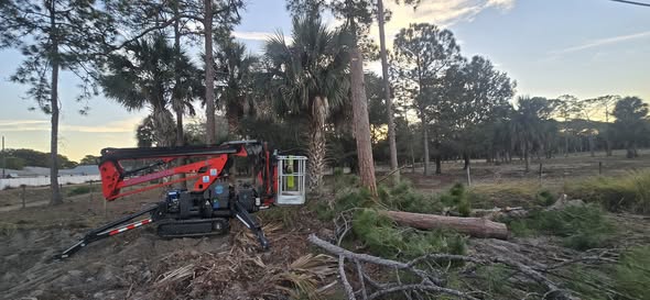 East Coast Arbor Pro Completes Complex Pine Tree Removal Project in Palm Bay Neighborhood