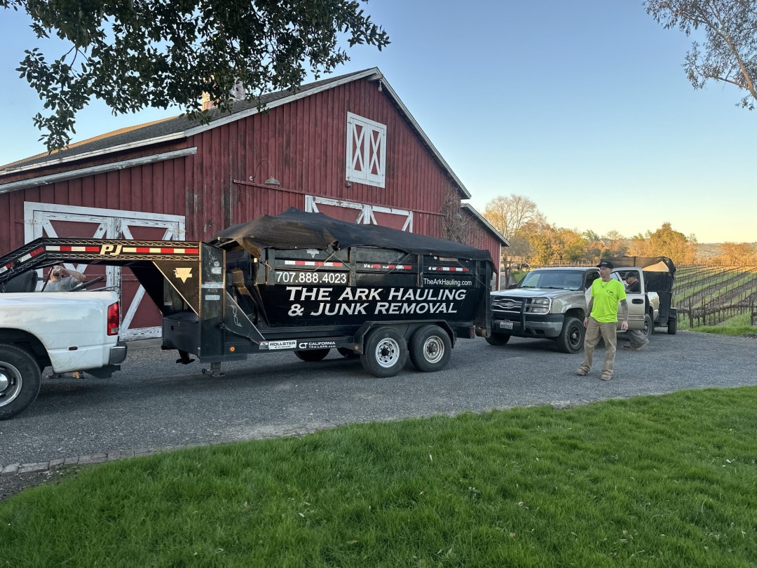The Ark Hauling & Junk Removal