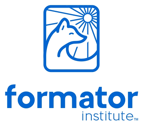 The Formator Institute — Elevating the Standard of In-Home Childcare
