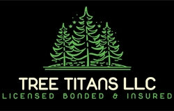 Tree Titans LLC Brings Licensed Tree Removal and Emergency Tree Service to Jacksonville, Oregon Tree Titans LLC Brings Licensed Tree Removal and Emergency Tree Service to Jacksonville, Oregon