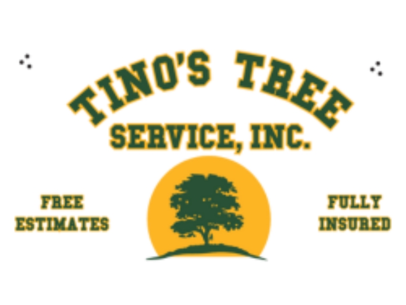 Tino’s Tree Service Is on the Rise as It Surpasses 70 Google Reviews from Satisfied Customers Tino’s Tree Service Is on the Rise as It Surpasses 70 Google Reviews from Satisfied Customers