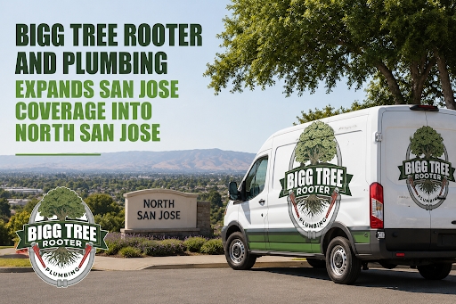 Bigg Tree Rooter & Plumbing