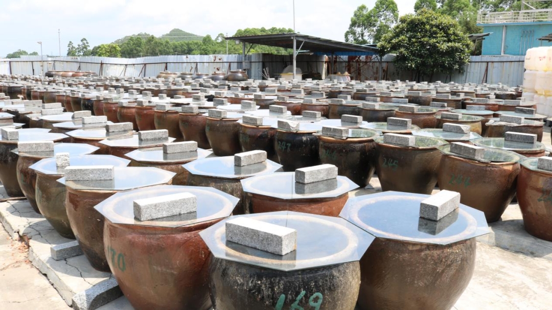 Guangdong Tasty Foodstuffs Co., Ltd. Completes Factory Expansion, Preserves Traditional Brewing & Accelerates Global Condiment Trade