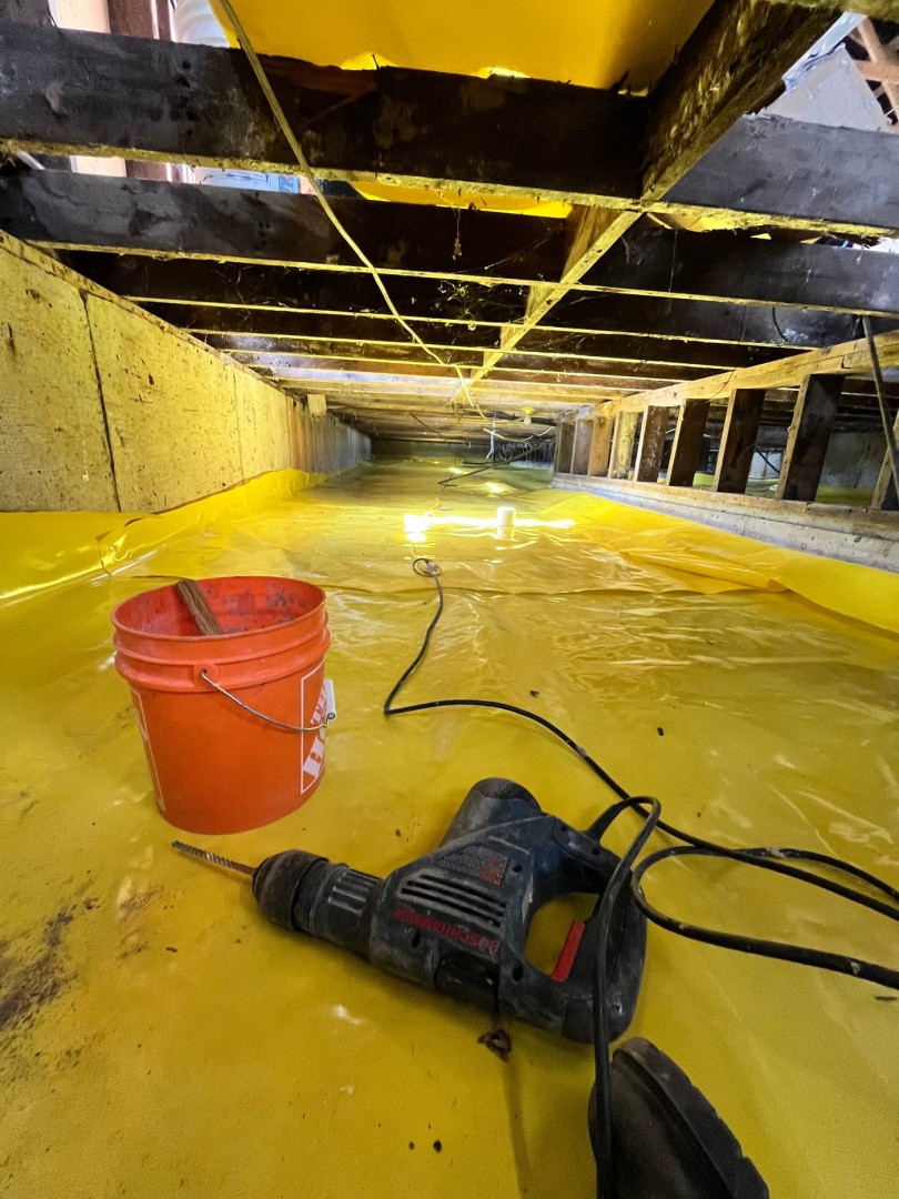 Crawlspace Specialists Surrey