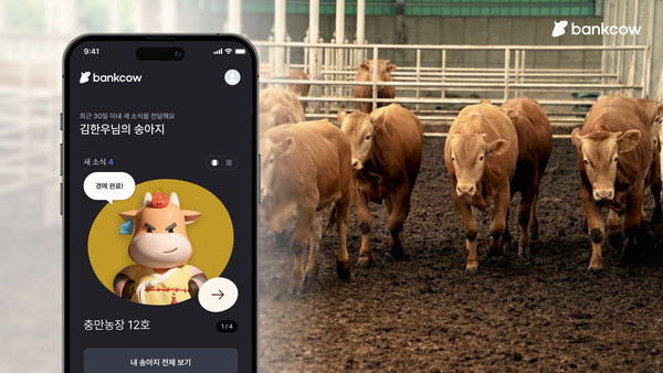 Bankcow’s 9th Hanwoo Investment Contract Securities Offering Surpasses 80% Subscription Rate