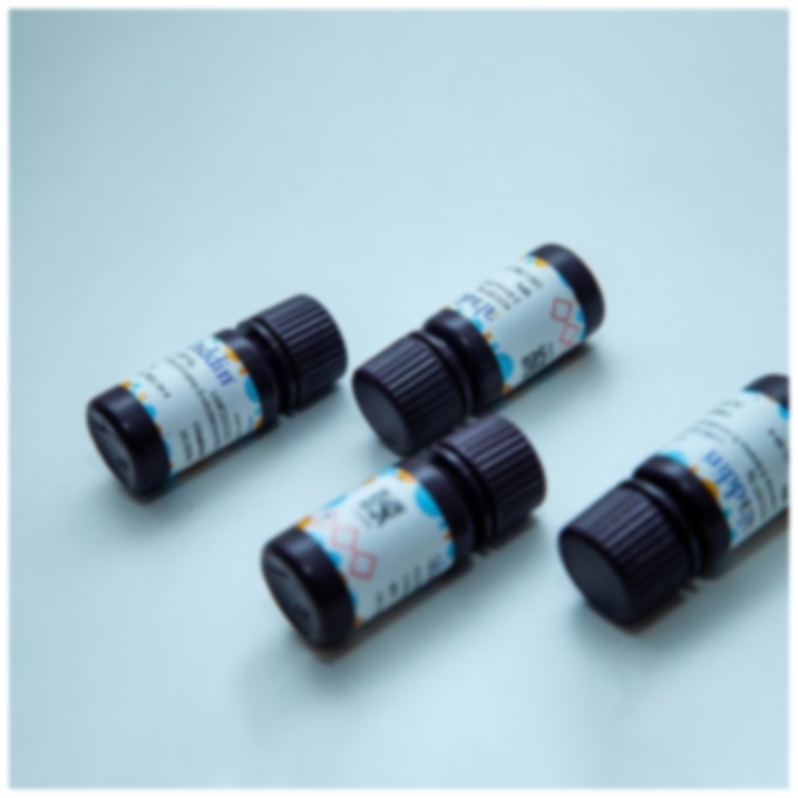 Amerigo Scientific Unveils Hydrophobic Polymers to Advance Drug Delivery and Tissue Engineering Applications
